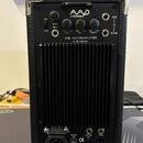 Phil Jones Bass AG100 CUB