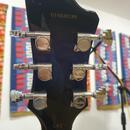 Hagstrom Super Viking – Dark Baltic Sea (Stav nové kytary) 