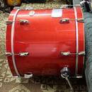 Pearl Vision Maple