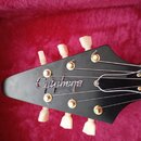 Prodám levorukou  Epiphone Flying V Korina