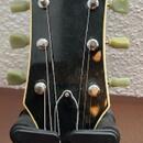 Pearl LP