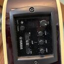 Yamaha APX 500