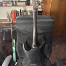 Ibanez RG921WZC