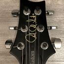 2014 PAUL REED SMITH S2 CUSTOM 24 (USA)