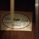 Taylor GS mini e-mahagony