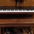 Yamaha PF 10