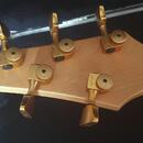 Carvin LB-75F 5-strunová Fretless Basa Natural /Made in USA/