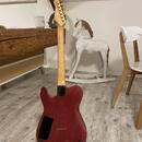 Godin ARTISAN TC r.v. 1991