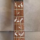 Ibanez JEMJR-WH - Signature Steve Vai 