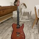 Godin ARTISAN TC r.v. 1991