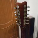 Hohner 9 strun