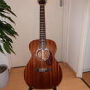 Guild M-120