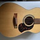 Maton EBG808TE 2018