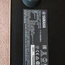 Yamaha THR100H
