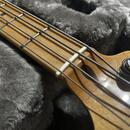 Prodám Fender Steve Harris Precision Bass – signature model.