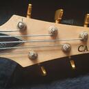 Carvin LB-75F 5-strunová Fretless Basa Natural /Made in USA/