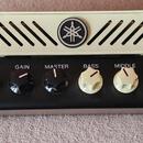 Yamaha THR100H
