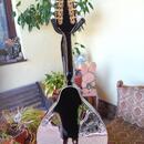 Elektroakustická mandolína