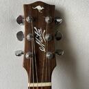 Maton EBG808TE 2018