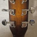 Tanglewood TW4 E VC KOA