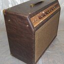 Acoustic G60T mod.163 – made in USA – Prodám !!!