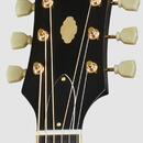 Epiphone FT-110 Frontier Burst (USA)