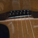 Hohner 9 strun