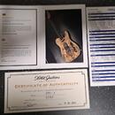 Xotic Guitars Xotique XTC S