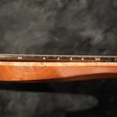 Prodám Aviator Raven / 7 strun / multiscale