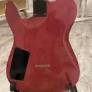 Godin ARTISAN TC r.v. 1991