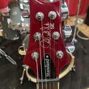 PRS SE Standard 24 (2022)
