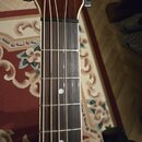 Hohner 9 strun