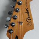 Fender Meteora Player Plus