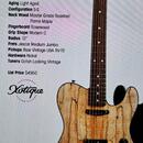 Xotic Guitars Xotique XTC S