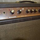 Acoustic G60T mod.163 – made in USA – Prodám !!!