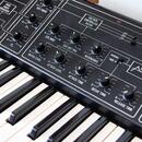 Yamaha CS-10