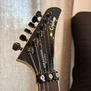 Epiphone EM-2 custom prophecy + Fender mustang II 40W