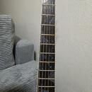 Predám Takamine LTD2021 blue rose