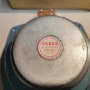 TESLA REPRO