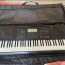 Casio WK 7600 