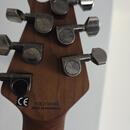 EVH Wolfgang Standard 