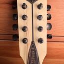Leewald Resophonic Mandolin