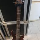ESP LTD D-6 šestistrunná baskytara