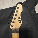 ESP LTD SN-200FRM 
