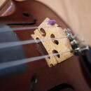 Antonius Stradivarius Cremonensis Faciebad anno 1721 (Lídl)