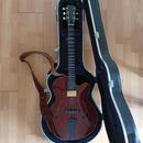Jazzová kytara Jiří Navrátil (možná výměna za Telecaster)