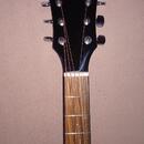 Elektroakustická kytara Fender FA-125CE SB WN
