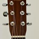CF Martin Shenandoah HD-2832