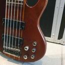 ESP LTD D-6 šestistrunná baskytara