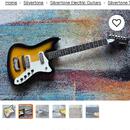Silvertone 1476 Bobkat 60’s